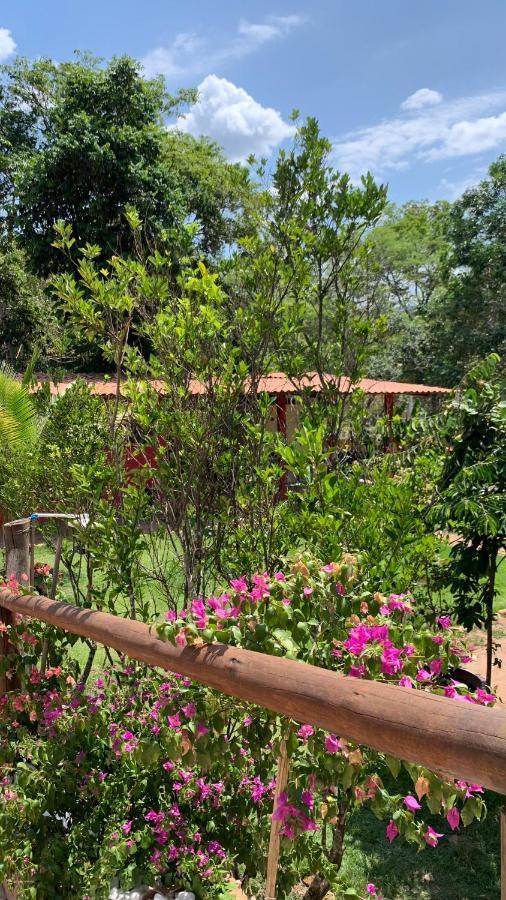 Airpoint Ecologica Lodge *